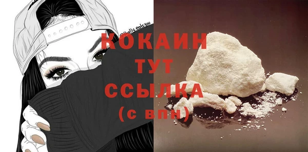 молекула духа Арсеньев