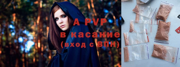 молекула духа Арсеньев