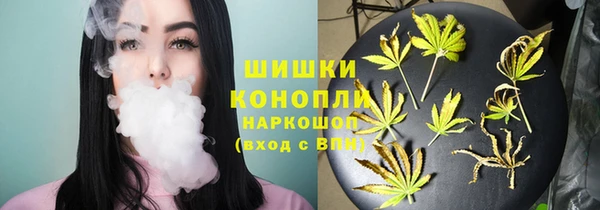 стаф Аркадак