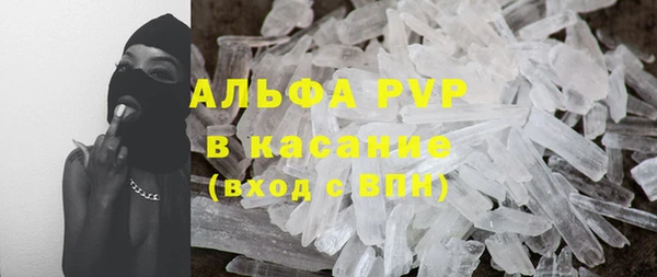 сатива Армянск