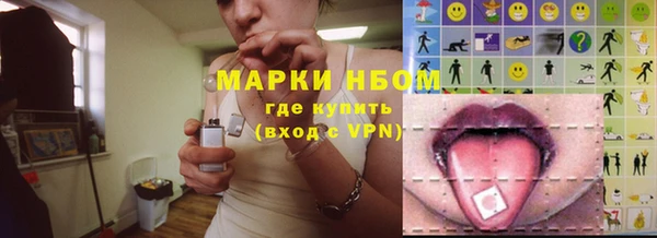 молекула духа Арсеньев