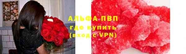 сатива Армянск