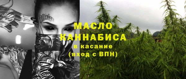 сатива Армянск