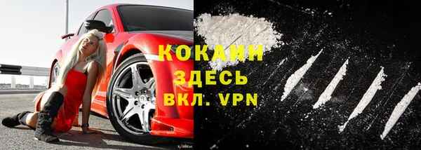 стаф Аркадак