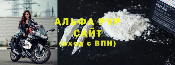 молекула духа Арсеньев