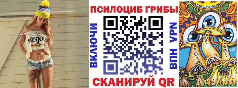 Купить  Туринск  Галлюциногенные грибы MAGIC MUSHROOMS 